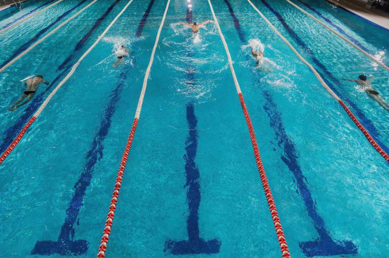 pensjonatvincent obiekty basen